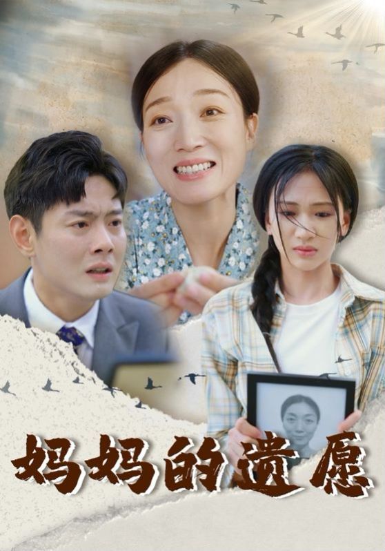 妈妈的遗愿海报